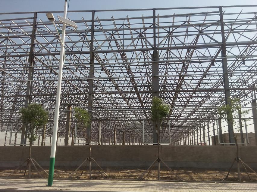 那曲汽车工业厂房网架